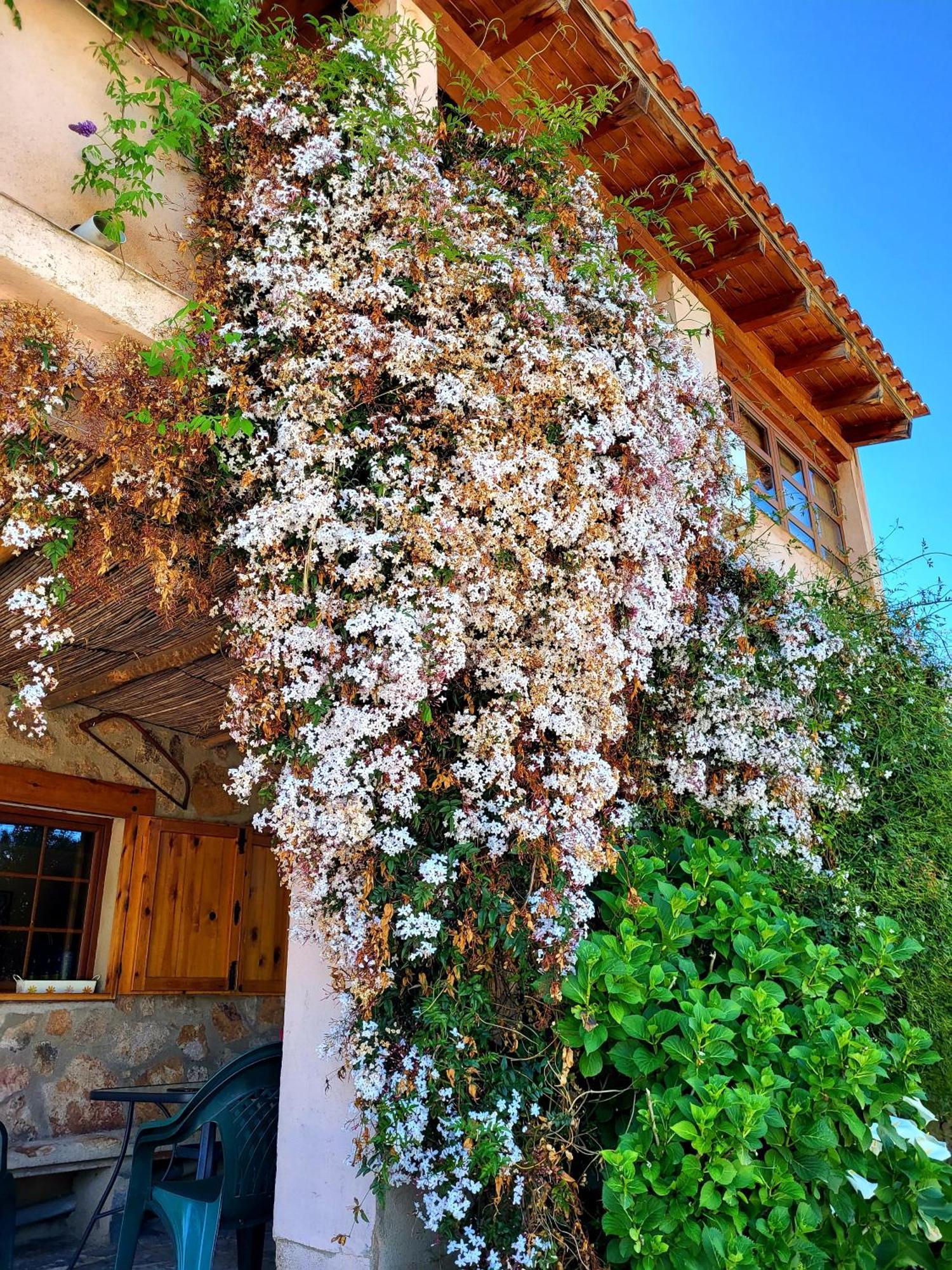 Casa Rural Balcon Del Camino Viejo Valencia de Alcántara Dış mekan fotoğraf