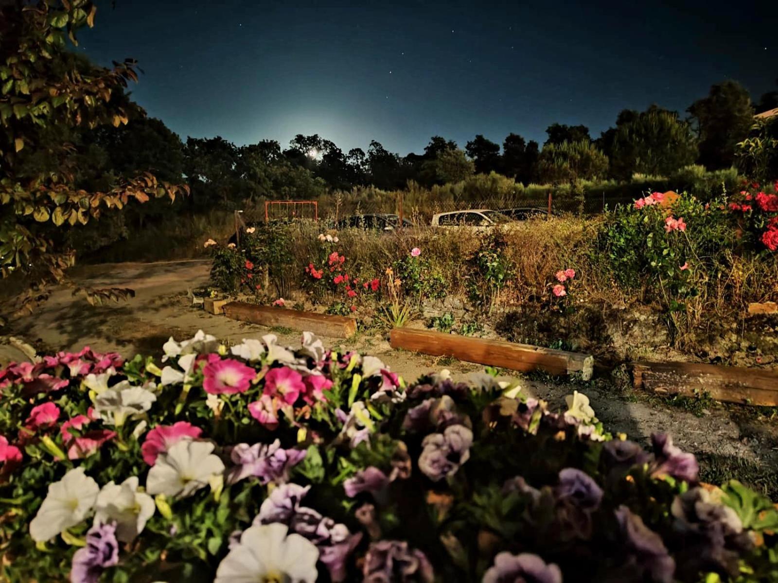 Casa Rural Balcon Del Camino Viejo Valencia de Alcántara Dış mekan fotoğraf